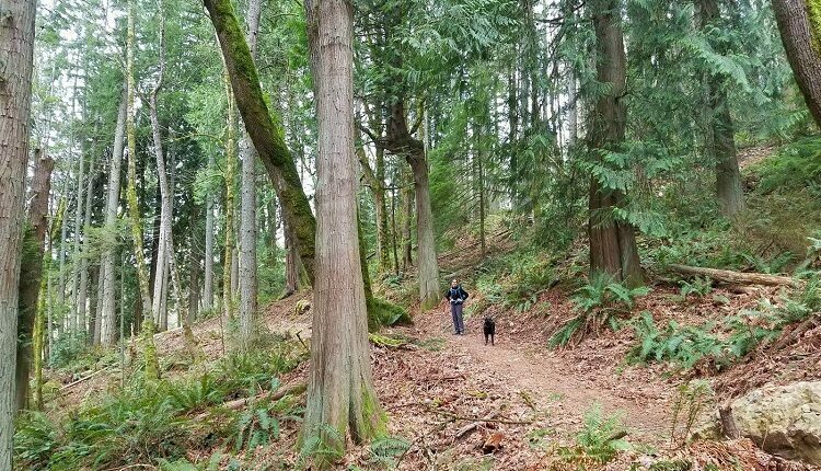 Squak Mountain Club