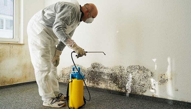 Mold Removal