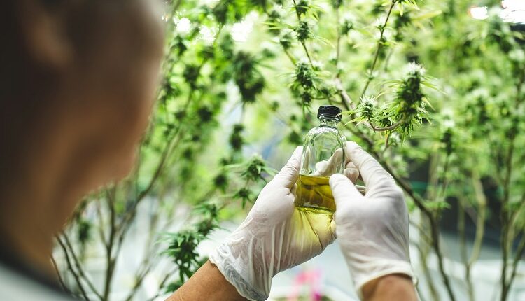 CBD Products